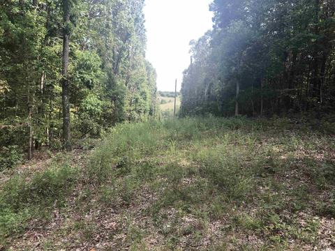949 Low Yield Dr, Harriet, AR 72639 photo 13