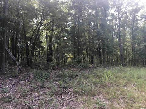 949 Low Yield Dr, Harriet, AR 72639 photo 8