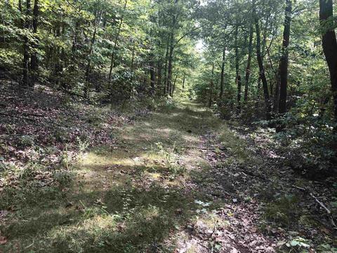 949 Low Yield Dr, Harriet, AR 72639 photo 14