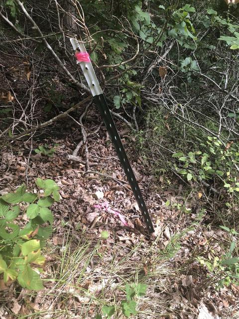 949 Low Yield Dr, Harriet, AR 72639 photo 18