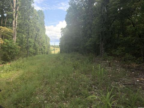 949 Low Yield Dr, Harriet, AR 72639 photo 4