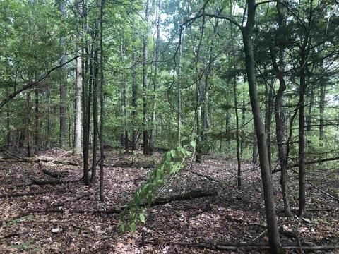 949 Low Yield Dr, Harriet, AR 72639 photo 20