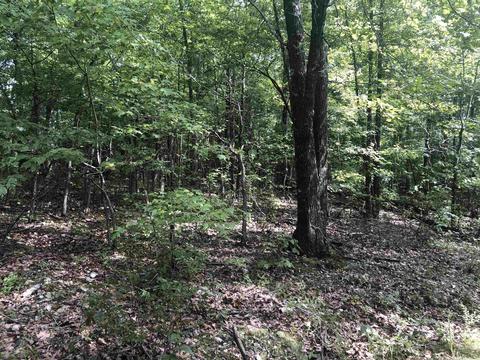 949 Low Yield Dr, Harriet, AR 72639 photo 15