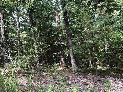949 Low Yield Dr, Harriet, AR 72639 photo 9