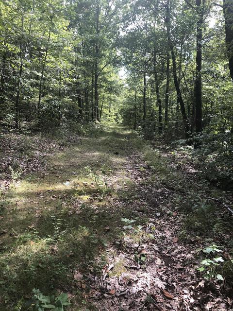 949 Low Yield Dr, Harriet, AR 72639 photo 11