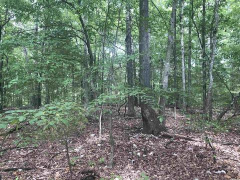 949 Low Yield Dr, Harriet, AR 72639 photo 21