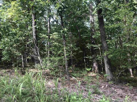 949 Low Yield Dr, Harriet, AR 72639 photo 10