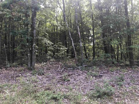 949 Low Yield Dr, Harriet, AR 72639 photo 3