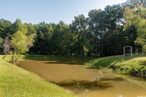 4900 Dot Ln, Bauxite, AR 72011 photo 6