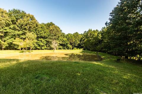 4900 Dot Ln, Bauxite, AR 72011 photo 4