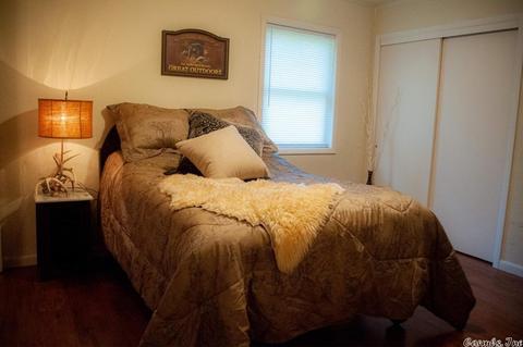 41 Earl St, Oppelo, AR 72110 photo 17