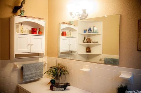 41 Earl St, Oppelo, AR 72110 photo 18