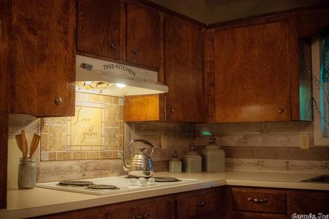 41 Earl St, Oppelo, AR 72110 photo 11