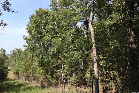 tbd Wren Rd, Gepp, AR 72538 photo 20