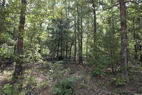 tbd Wren Rd, Gepp, AR 72538 photo 3