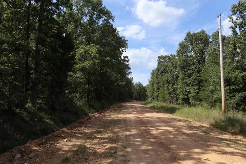 tbd Wren Rd, Gepp, AR 72538 photo 1