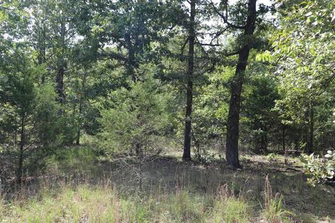 tbd Wren Rd, Gepp, AR 72538 photo 12