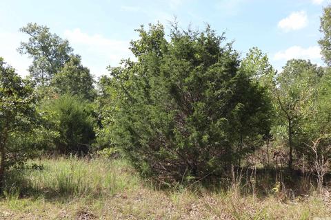 tbd Wren Rd, Gepp, AR 72538 photo 11