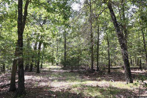 tbd Wren Rd, Gepp, AR 72538 photo 8