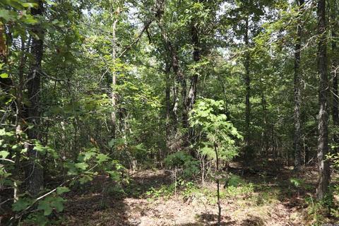 tbd Wren Rd, Gepp, AR 72538 photo 14