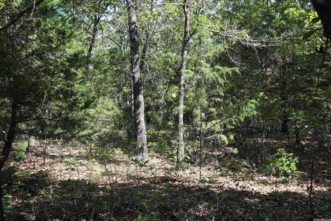 tbd Wren Rd, Gepp, AR 72538 photo 24