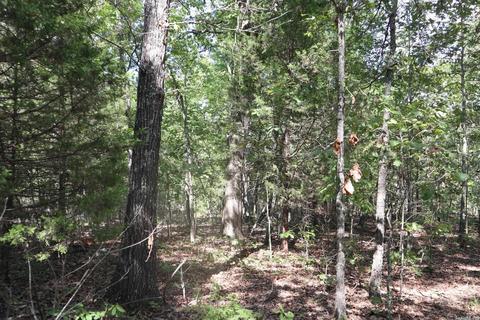 tbd Wren Rd, Gepp, AR 72538 photo 21