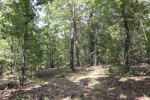 tbd Wren Rd, Gepp, AR 72538 photo 16