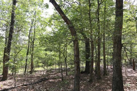 tbd Wren Rd, Gepp, AR 72538 photo 9