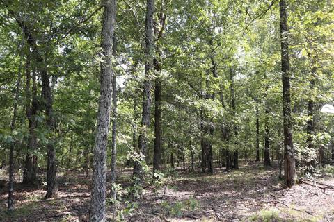 tbd Wren Rd, Gepp, AR 72538 photo 10