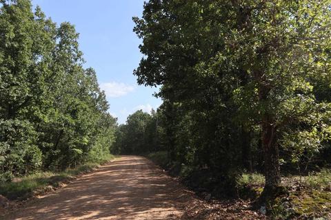 tbd Wren Rd, Gepp, AR 72538 photo 26