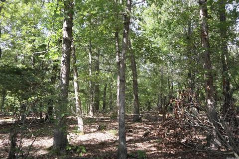 tbd Wren Rd, Gepp, AR 72538 photo 25