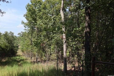 tbd Wren Rd, Gepp, AR 72538 photo 18