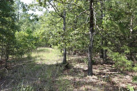 tbd Wren Rd, Gepp, AR 72538 photo 5