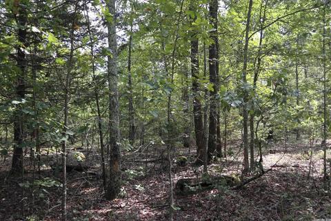 tbd Wren Rd, Gepp, AR 72538 photo 13