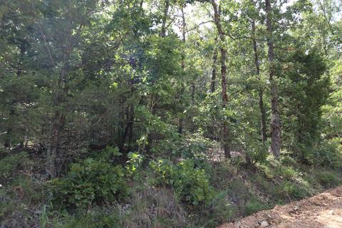 tbd Wren Rd, Gepp, AR 72538 photo 2