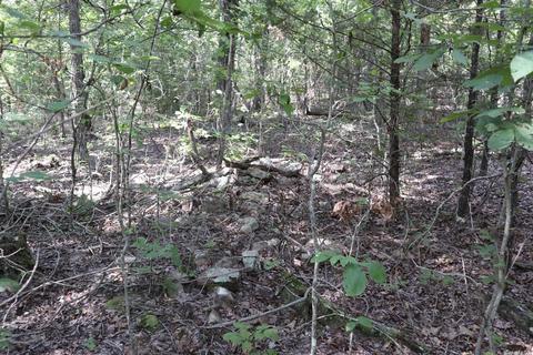 tbd Wren Rd, Gepp, AR 72538 photo 23