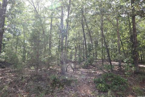 tbd Wren Rd, Gepp, AR 72538 photo 4