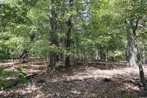 tbd Wren Rd, Gepp, AR 72538 photo 6