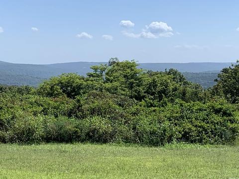 441 Holstein Dr, Leslie, AR 72645 photo 27