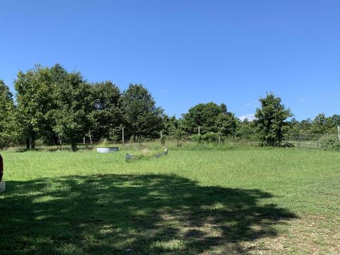 441 Holstein Dr, Leslie, AR 72645 photo 35