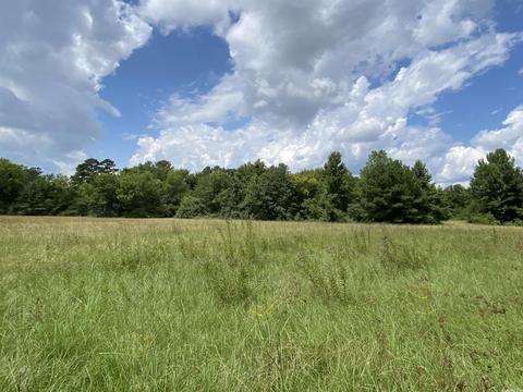 503 S 4th St, Foreman, AR 71822 photo 6