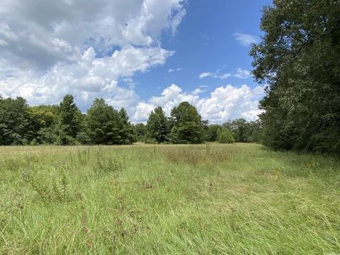 503 S 4th St, Foreman, AR 71822 photo 8