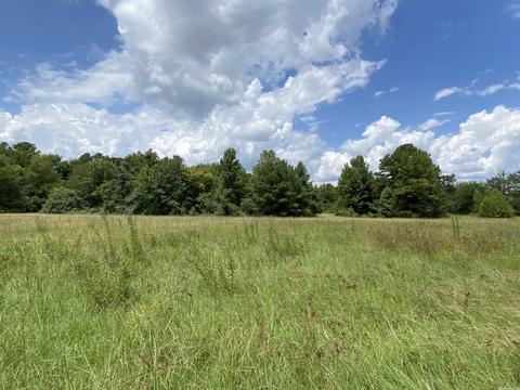 503 S 4th St, Foreman, AR 71822 photo 7