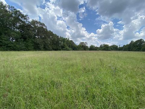 503 S 4th St, Foreman, AR 71822 photo 16