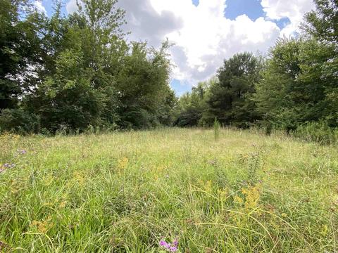 503 S 4th St, Foreman, AR 71822 photo 14
