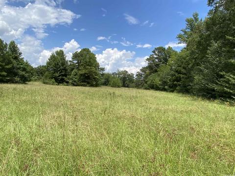 503 S 4th St, Foreman, AR 71822 photo 9