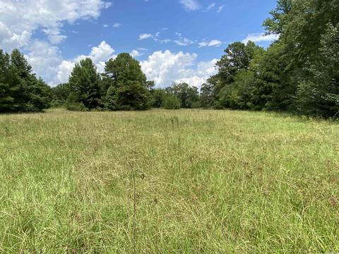 503 S 4th St, Foreman, AR 71822 photo 10