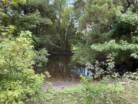 503 S 4th St, Foreman, AR 71822 photo 11