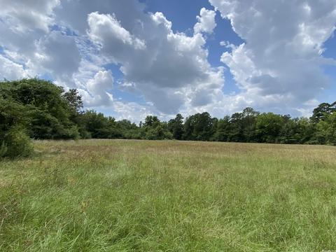 503 S 4th St, Foreman, AR 71822 photo 4