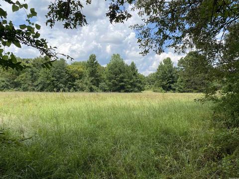 503 S 4th St, Foreman, AR 71822 photo 1
